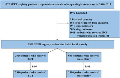 Breast-Conserving Therapy Has Better Prognosis for Tumors in the Central and Nipple Portion of Breast Cancer Compared with Mastectomy: A SEER Data-Based Study